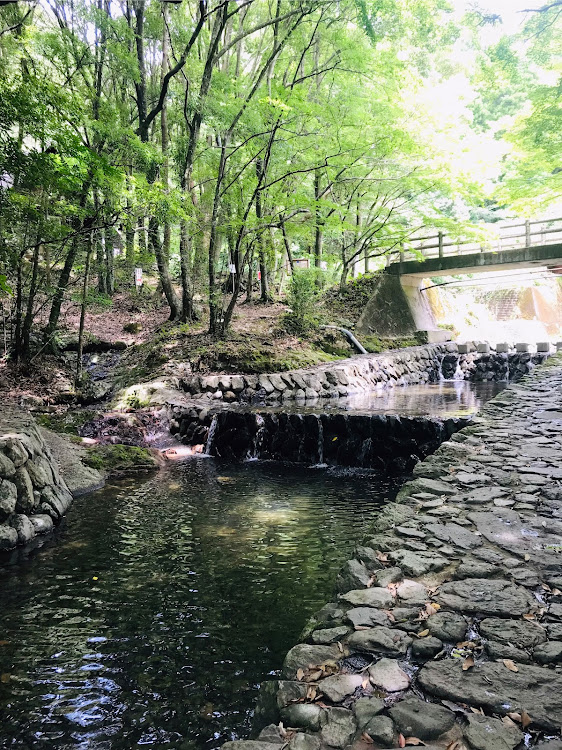 N-WGN カスタムの猛暑日・熱中症に気をつけて!!・自然に癒され・水遊び😆・いつもイイネ&コメントありがとうございます🙇‍♂️に関するカスタム事例の投稿画像4枚目