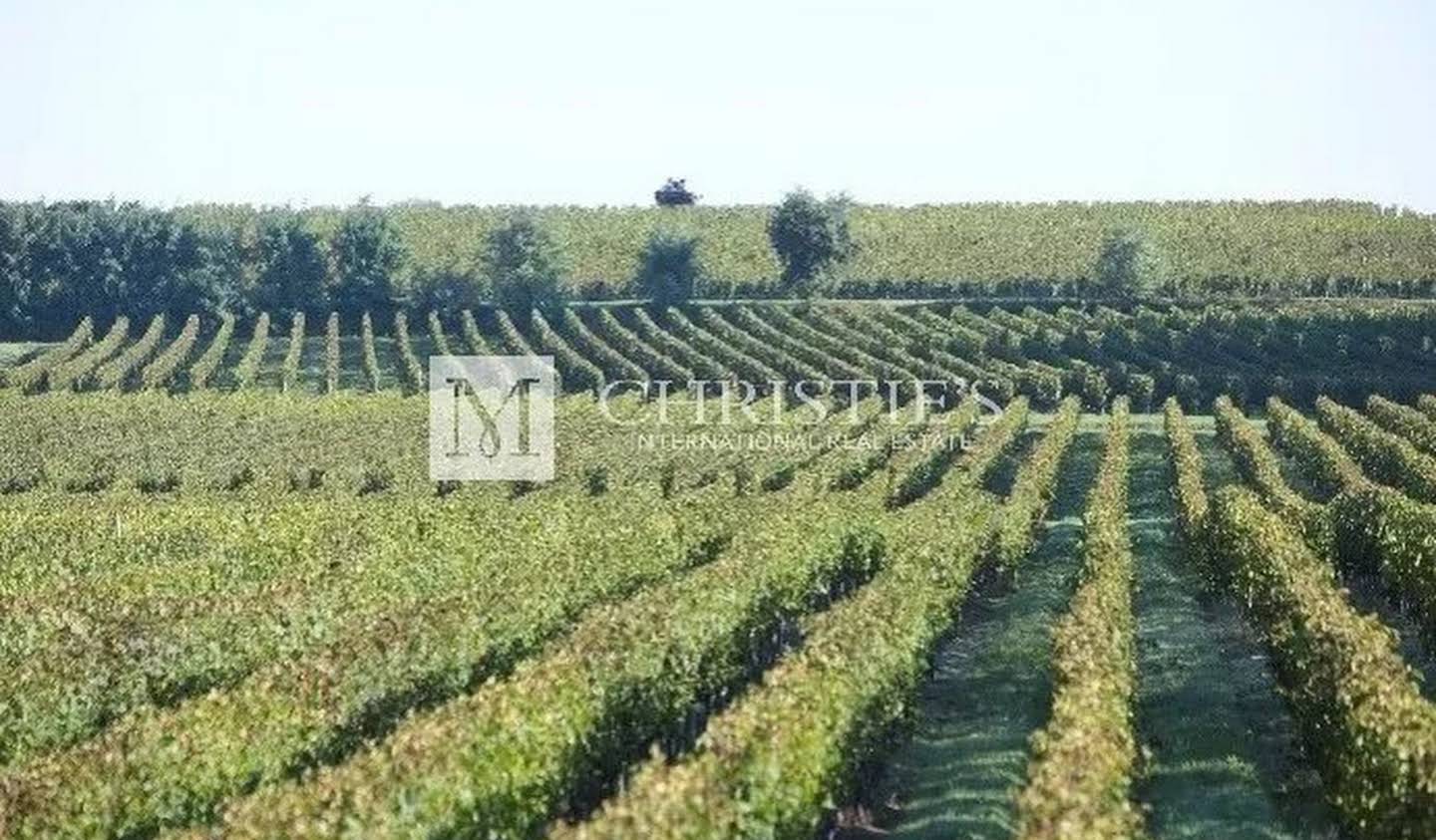 Vineyard with pool and outbuildings Libourne