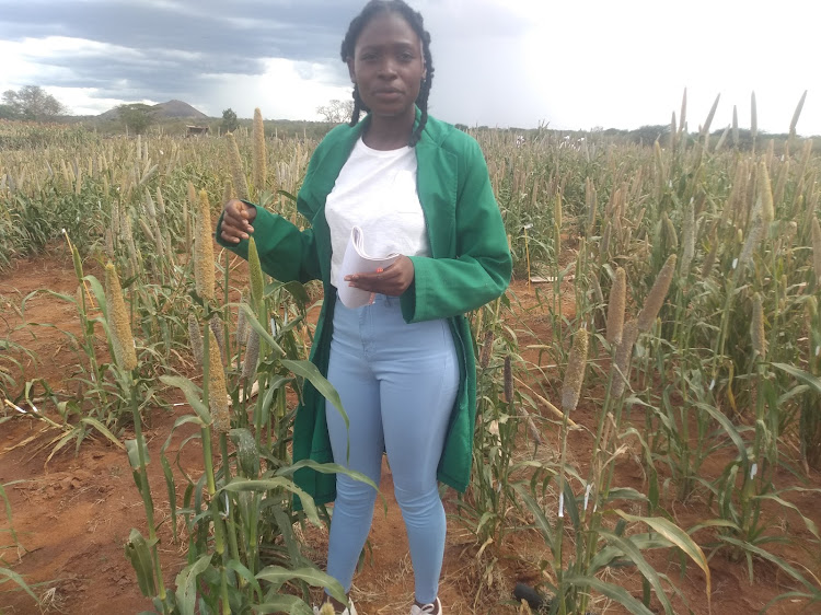 Brenda Atieno, who is aspiring to be the next big crop breeder in Kenya