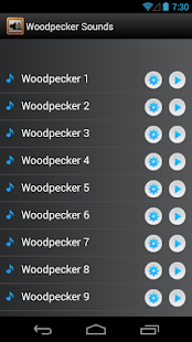 Lastest Woodpecker Bird Sounds APK