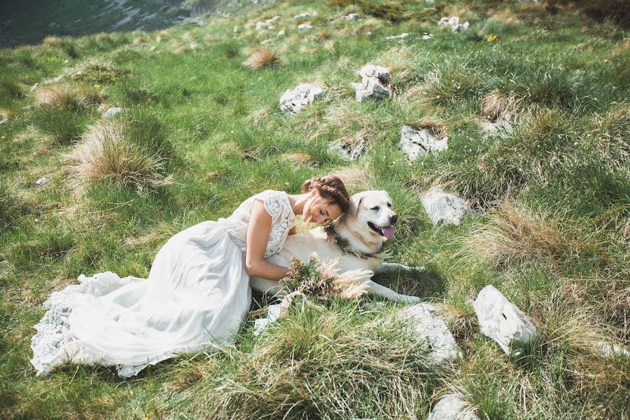 Fotografo di matrimoni Sergey Rolyanskiy (rolianskii). Foto del 26 novembre 2017