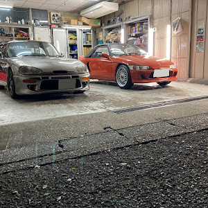 ビート PP1