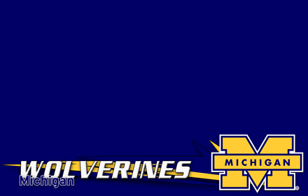 Michigan Wolverines Small small promo image