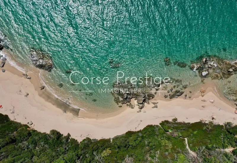 Prix d'un système d'arrosage automatique pour pelouse Sur Le Bassin D'arcachon  - BURON PAYSAGES CAP FERRET