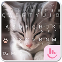 TouchPal Cats Keyboard Theme 6.4.28 APK ダウンロード