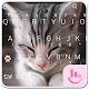 Download TouchPal Cats Keyboard Theme For PC Windows and Mac 6.8.23