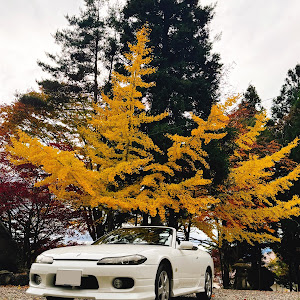 シルビア S15