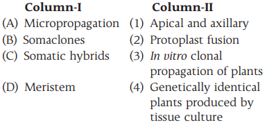 Plant Tissue Culture