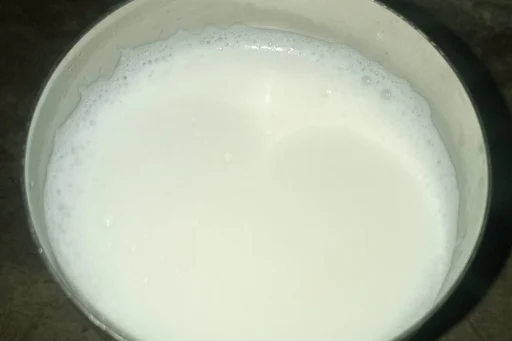 Plain Lassi