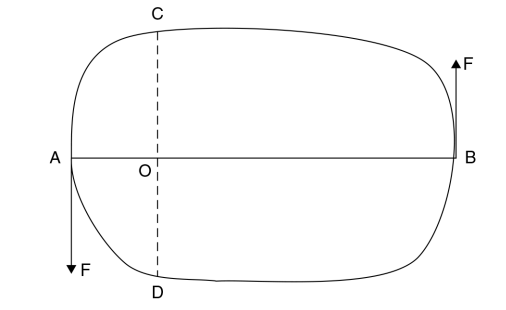 Turning effect of forces (Moments)