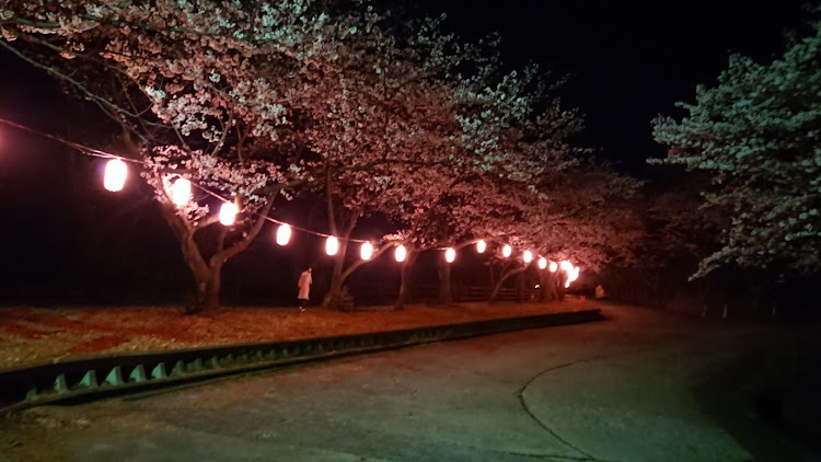 シャトルの桜とコラボ🌸・夜桜・コロナウイルスに負けるな・バードミサイルにも負けるなに関するカスタム事例の投稿画像6枚目