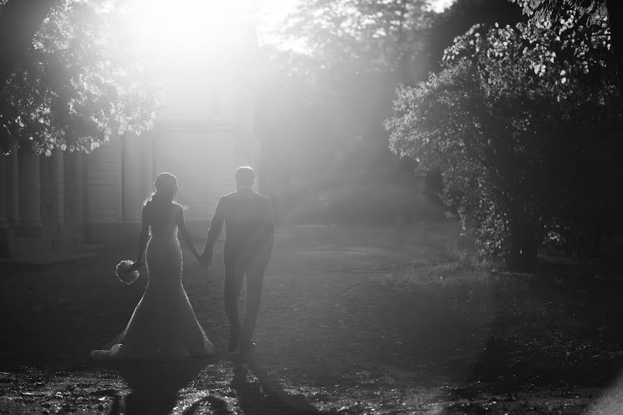 Fotógrafo de casamento Aleksey Aleynikov (aleinikov). Foto de 18 de julho 2018