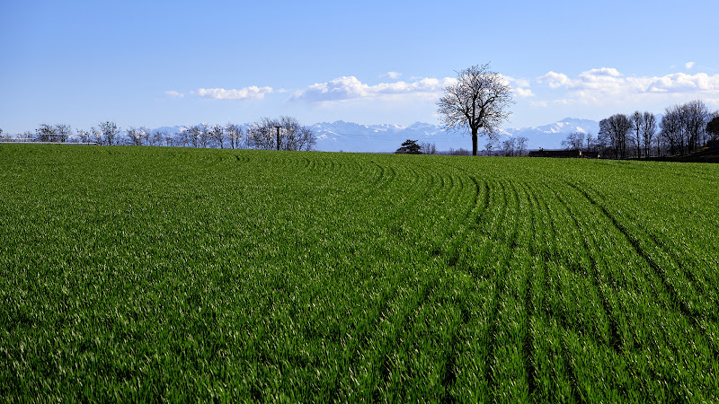 Campagna deserta di GMorina