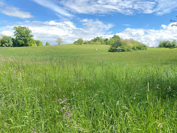 terrain à Caussade (82)