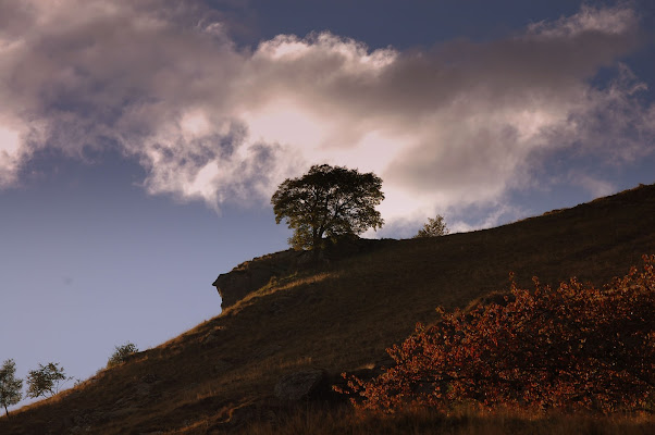 Autumn... di MatteoTomasetti90