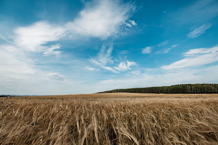 Pulmafotograaf Aleksandr Dyadkin (duetphotomoments). Foto tehtud 5 september 2019