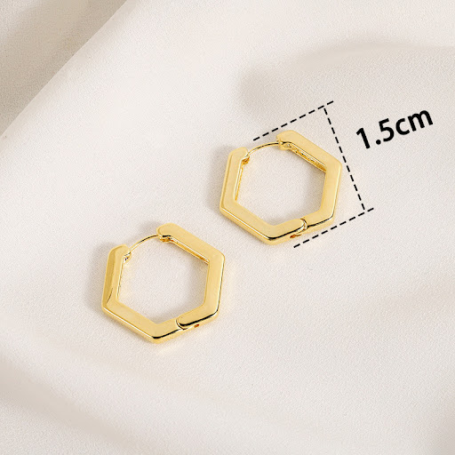 Title 10, Womens Sleek Minimalist French Fashion Earring...