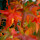 Fall New Tab Page HD Wallpapers  Themes