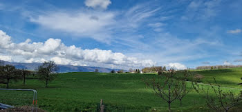 terrain à Alby-sur-Chéran (74)