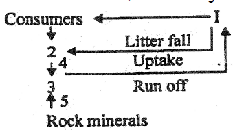 Nutrient Cycling