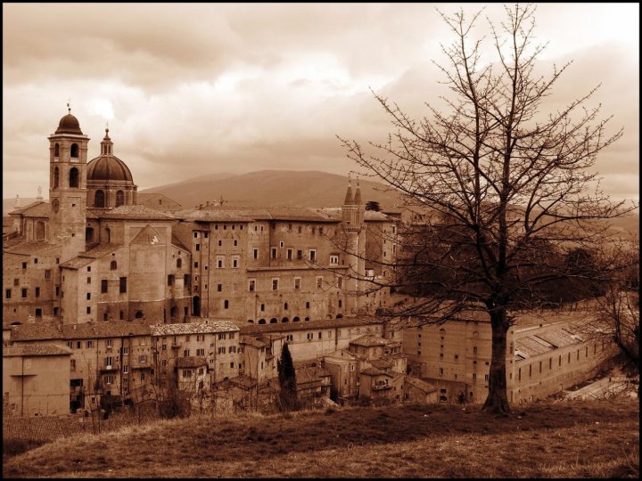 Urbino dalla fortezza Albornoz di fringuello