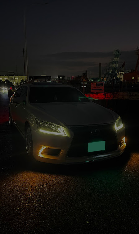 LSのNaさんが投稿したカスタム事例の投稿画像1枚目