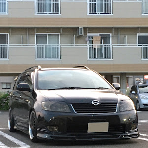 カローラフィールダー ZZE122G