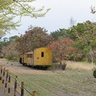 蒜頭糖廠蔗埕文化園區