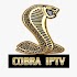 COBRA  IPTV1.0.1