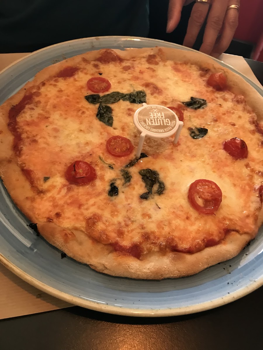 GF margarita pizza.  My daughter and I are both Celiac and had no issues.