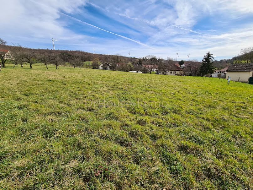 Vente terrain  1163 m² à Mésandans (25680), 39 000 €