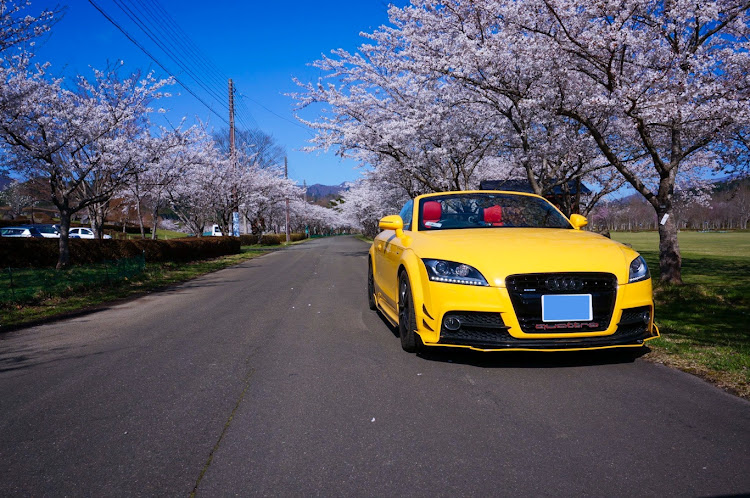 TT ロードスターの一目千本桜・七ヶ宿道の駅・桜とコラボに関するカスタム事例の投稿画像6枚目