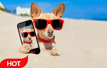 Chihuahua Dogs Wallpaper HD Custom New Tab small promo image