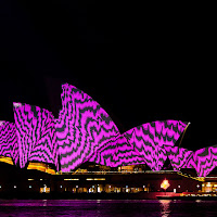 Sydney Purple House di 