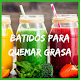 Download Batidos para quemar grasa For PC Windows and Mac 9.1