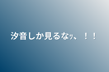 汐音しか見るなｯ、！！