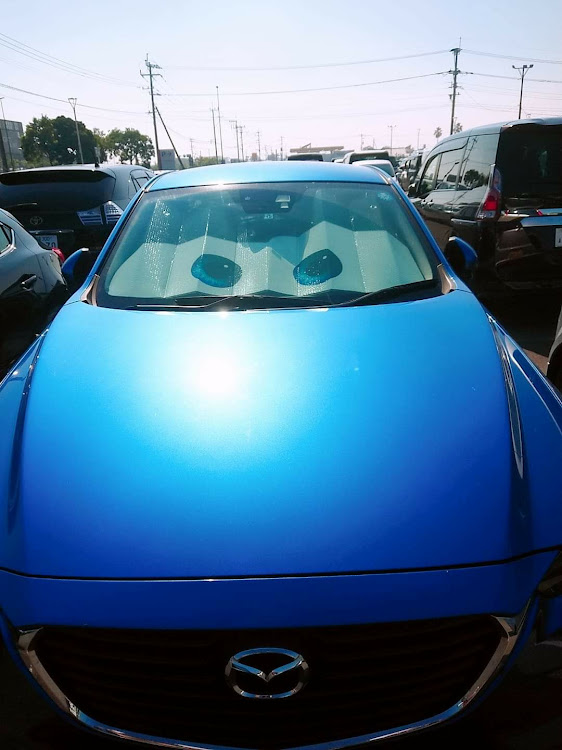 CX-3の納車して1年・ドライブ・マツダ・走りすぎに関するカスタム事例の投稿画像1枚目