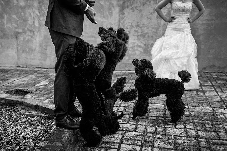 Photographe de mariage Petr Wagenknecht (wagenknecht). Photo du 21 juin 2020