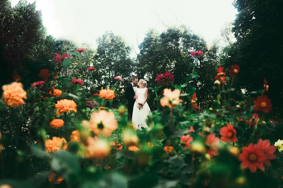 Fotógrafo de casamento Sasha Anashina (suncho). Foto de 22 de outubro 2016