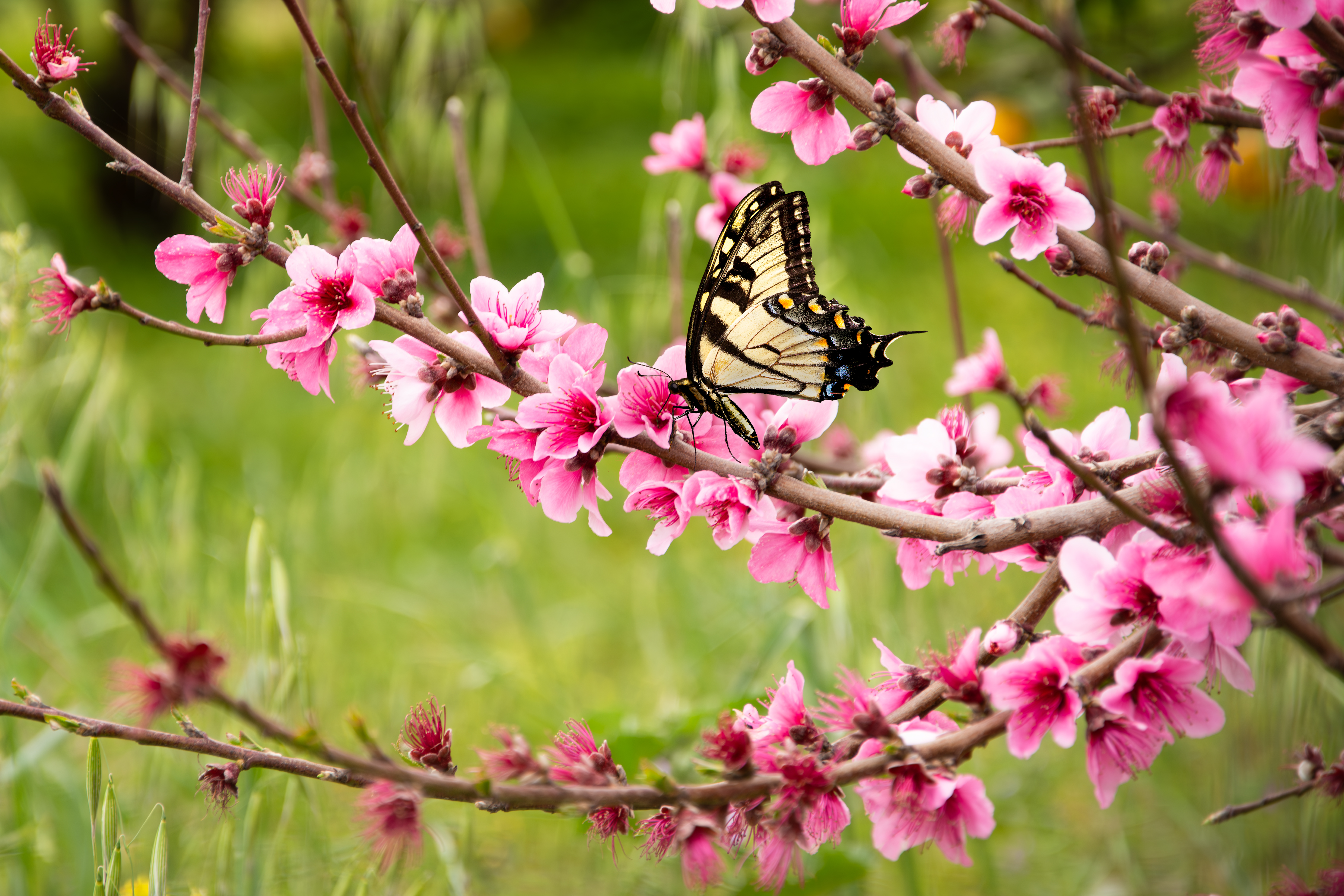 La natura e i suoi colori di Andrea-Zuccaro