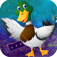 Best Escape Games 112 Mallard Duck Rescue Game