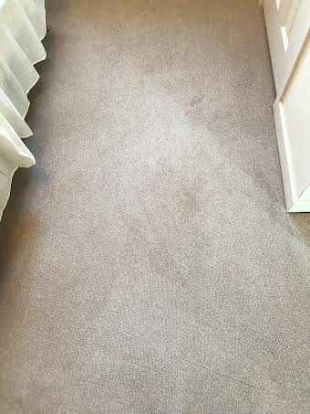 Carpet cleaning album cover