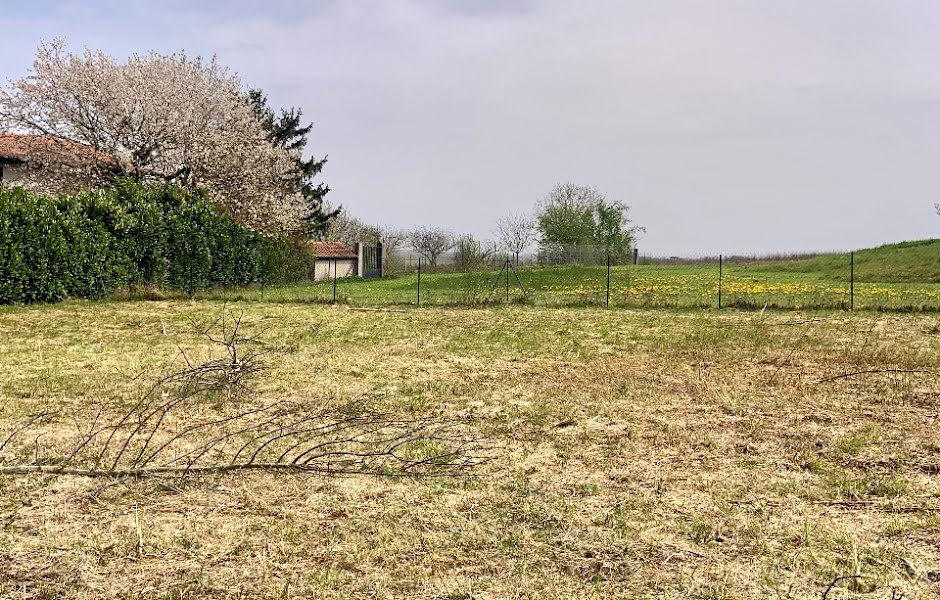 Vente terrain  617 m² à Pins-Justaret (31860), 164 000 €