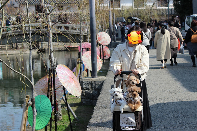 X5の結婚30周年記念旅行・愛犬家・記念日・ドライブに関するカスタム事例の投稿画像8枚目