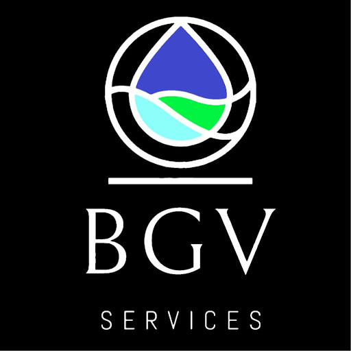 BGV Services Logo