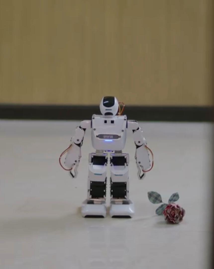 Small robot with a rose 