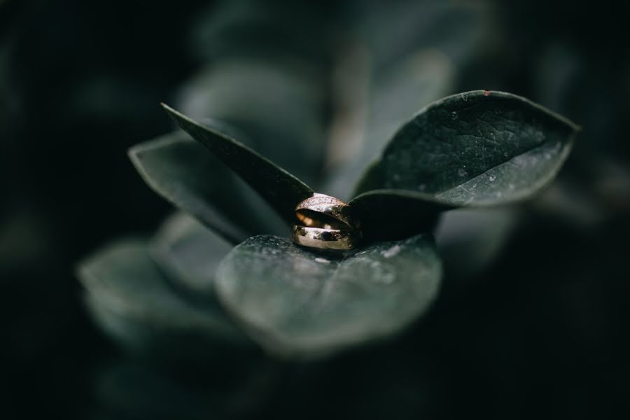 Fotógrafo de bodas Rajmund Palotás (palotasrajmund). Foto del 1 de marzo 2021