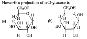 Structure and reactions of glucose