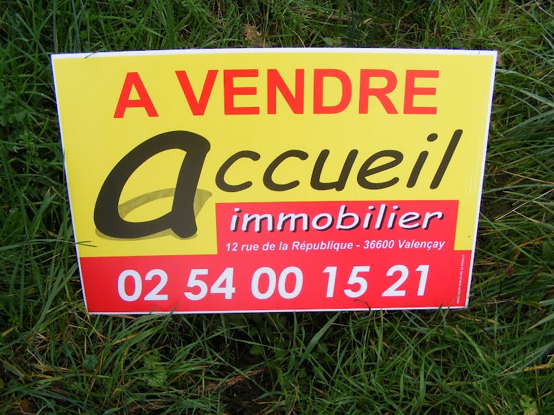 Vente terrain  6683 m² à Ecueillé (36240), 37 000 €