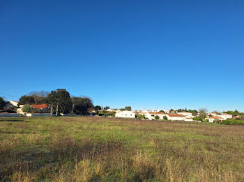 terrain à Meschers-sur-Gironde (17)